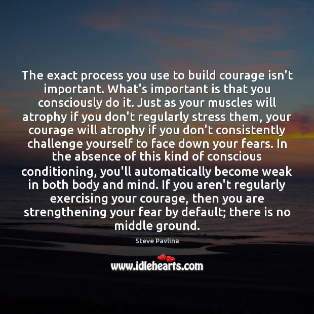 The exact process you use to build courage isn’t important. What’s important Steve Pavlina Picture Quote