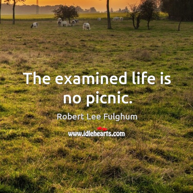 The examined life is no picnic. Robert Lee Fulghum Picture Quote