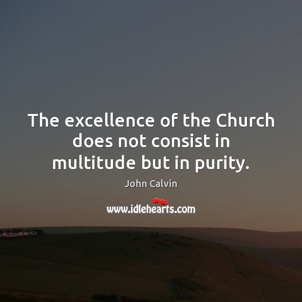 The excellence of the Church does not consist in multitude but in purity. John Calvin Picture Quote