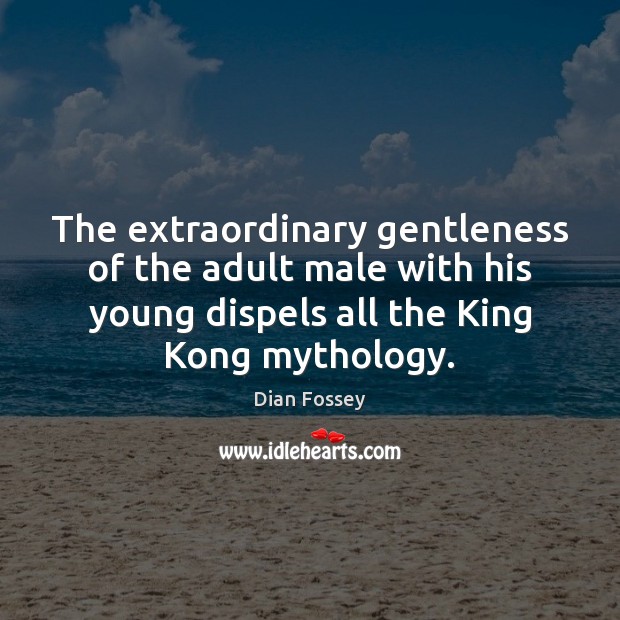 The extraordinary gentleness of the adult male with his young dispels all Dian Fossey Picture Quote