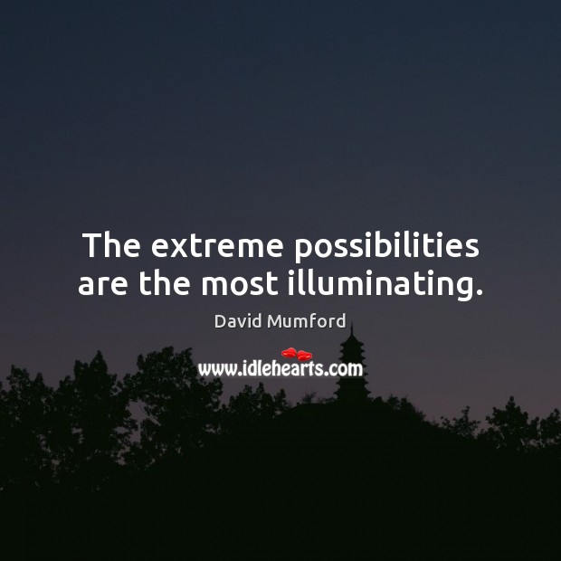 The extreme possibilities are the most illuminating. David Mumford Picture Quote