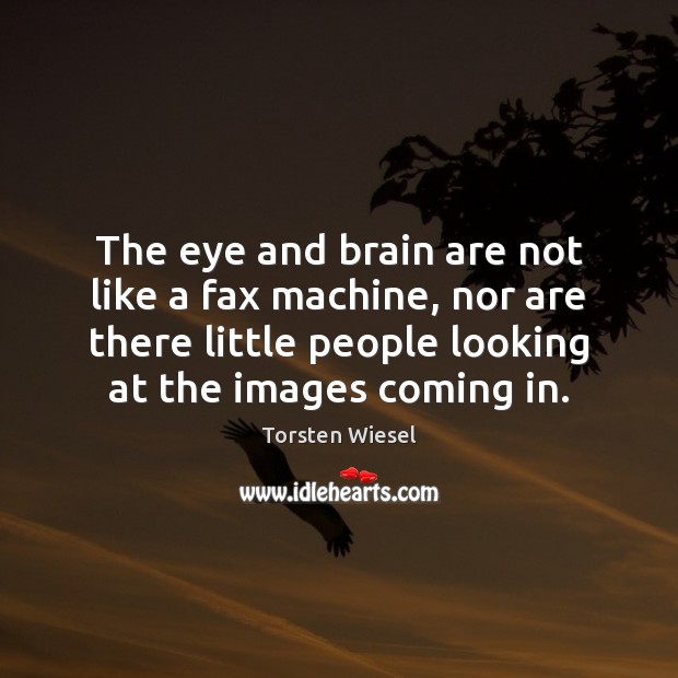 The eye and brain are not like a fax machine, nor are Image