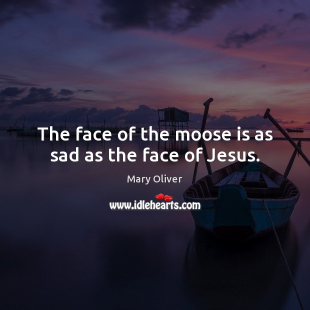 The face of the moose is as sad as the face of Jesus. Mary Oliver Picture Quote