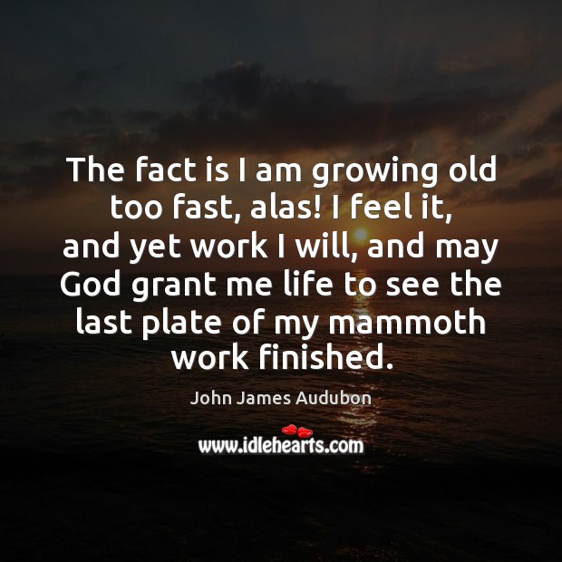 The fact is I am growing old too fast, alas! I feel John James Audubon Picture Quote
