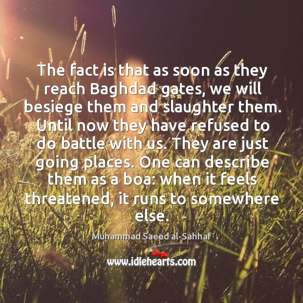 The fact is that as soon as they reach baghdad gates, we will besiege them and slaughter them. Muhammad Saeed al-Sahhaf Picture Quote