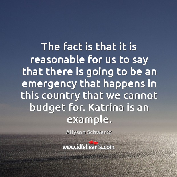 The fact is that it is reasonable for us to say that there is going to be an emergency that happens. Allyson Schwartz Picture Quote