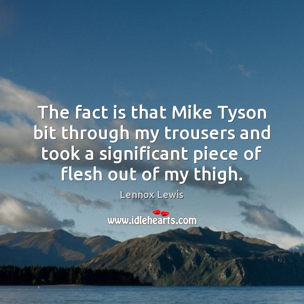 The fact is that Mike Tyson bit through my trousers and took Lennox Lewis Picture Quote