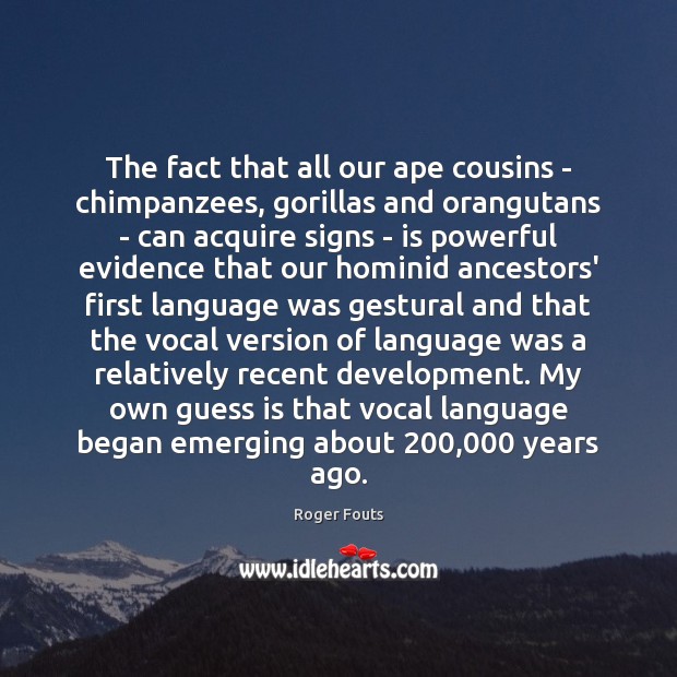 The fact that all our ape cousins – chimpanzees, gorillas and orangutans Roger Fouts Picture Quote