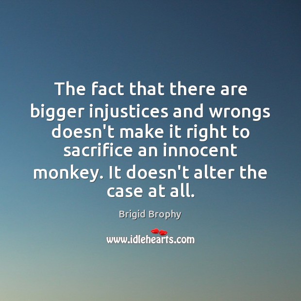 The fact that there are bigger injustices and wrongs doesn’t make it Brigid Brophy Picture Quote