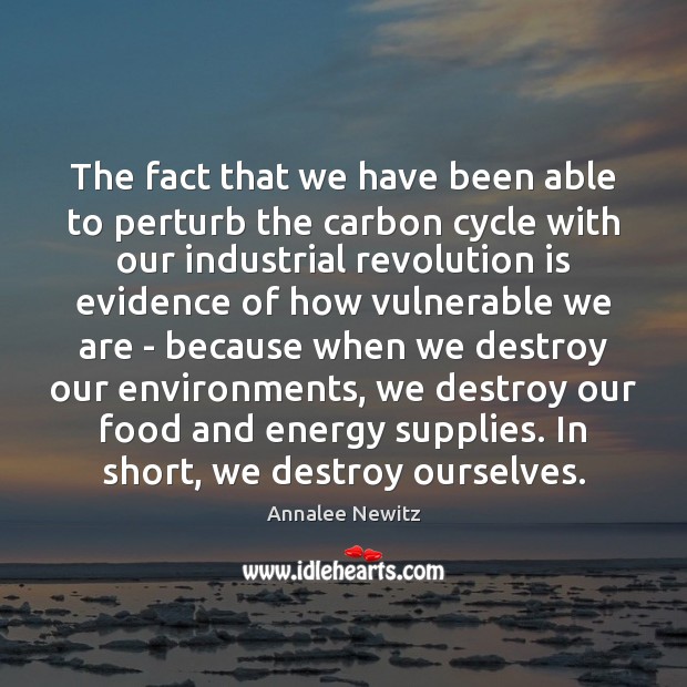 The fact that we have been able to perturb the carbon cycle Annalee Newitz Picture Quote