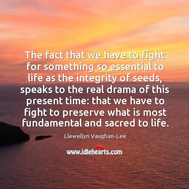 The fact that we have to fight for something so essential to Llewellyn Vaughan-Lee Picture Quote