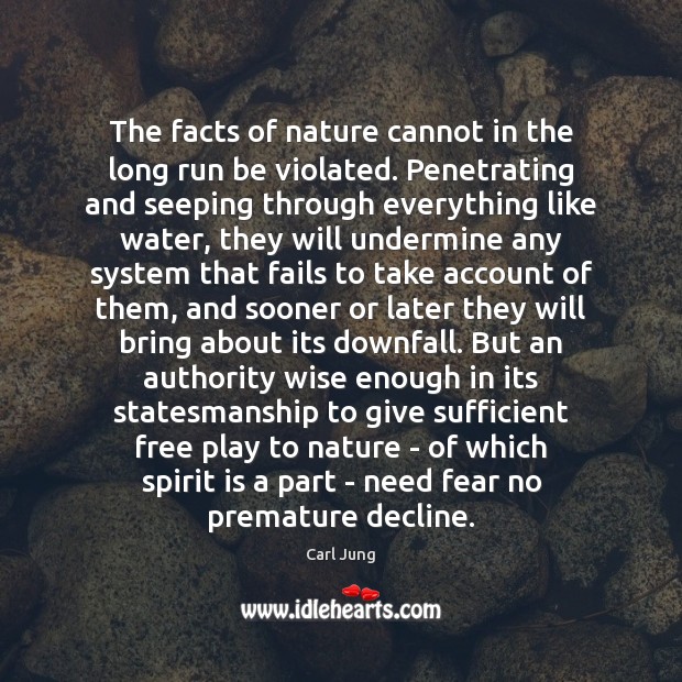 The facts of nature cannot in the long run be violated. Penetrating Carl Jung Picture Quote
