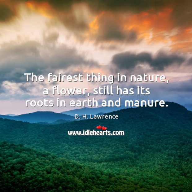 The fairest thing in nature, a flower, still has its roots in earth and manure. D. H. Lawrence Picture Quote