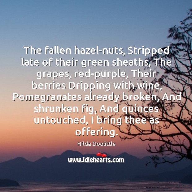 The fallen hazel-nuts, Stripped late of their green sheaths, The grapes, red-purple, Hilda Doolittle Picture Quote