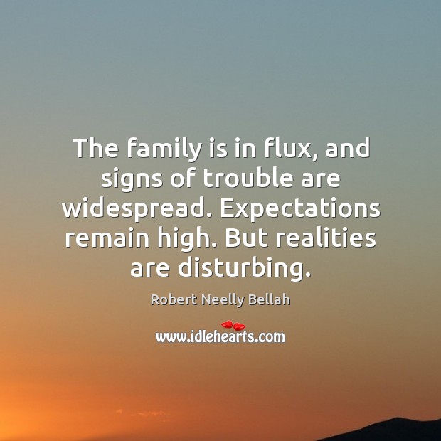 The family is in flux, and signs of trouble are widespread. Expectations Robert Neelly Bellah Picture Quote