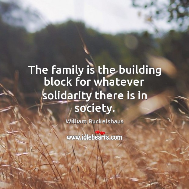 The family is the building block for whatever solidarity there is in society. 