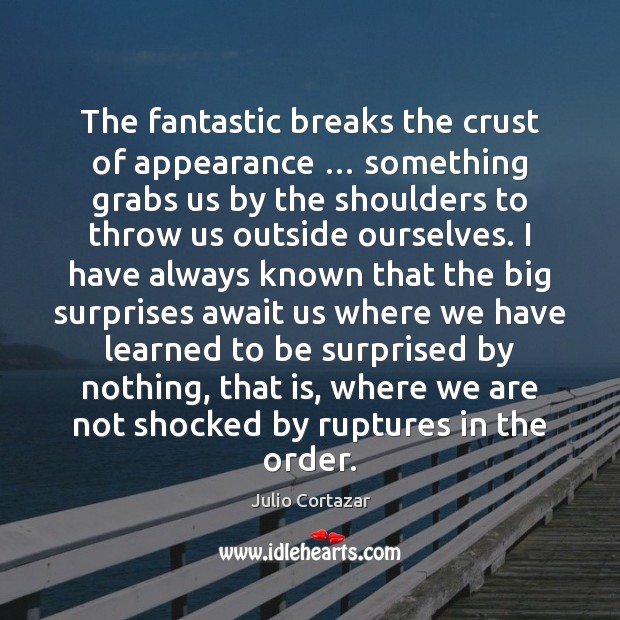 The fantastic breaks the crust of appearance … something grabs us by the 