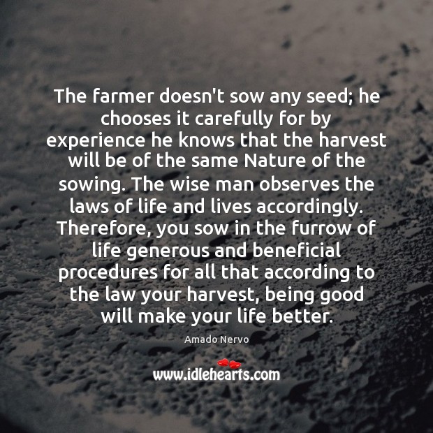 The farmer doesn’t sow any seed; he chooses it carefully for by Image