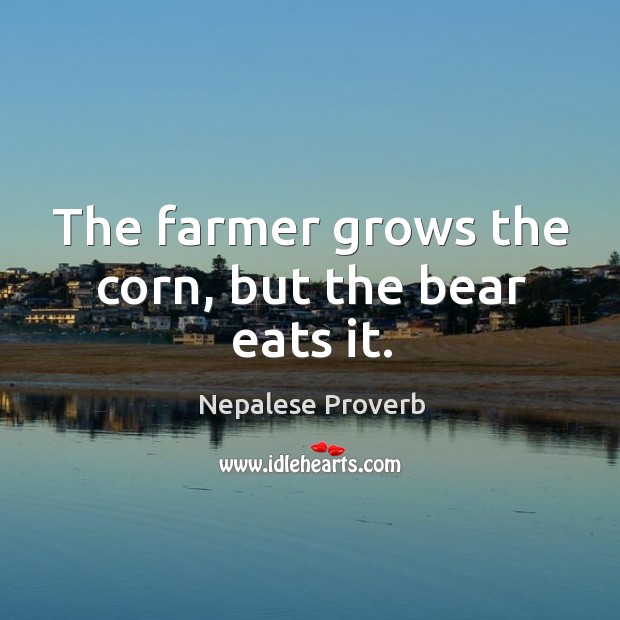 The farmer grows the corn, but the bear eats it. Nepalese Proverbs Image