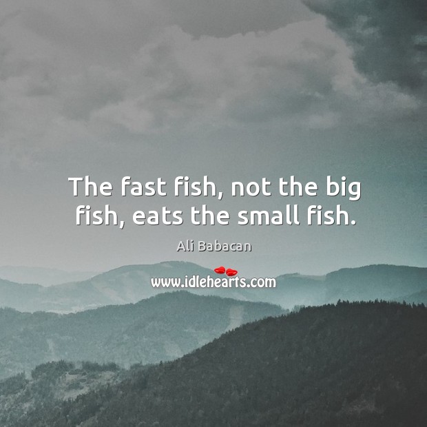 The fast fish, not the big fish, eats the small fish. Image
