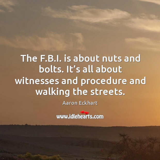 The f.b.i. Is about nuts and bolts. It’s all about witnesses and procedure and walking the streets. Image