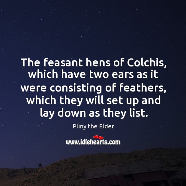 The feasant hens of Colchis, which have two ears as it were Image