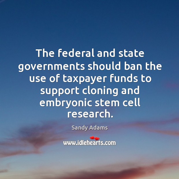 The federal and state governments should ban the use of taxpayer funds to support cloning and embryonic stem cell research. Image