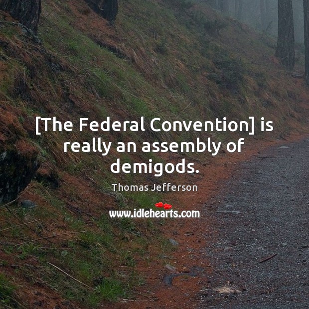 [The Federal Convention] is really an assembly of demiGods. 