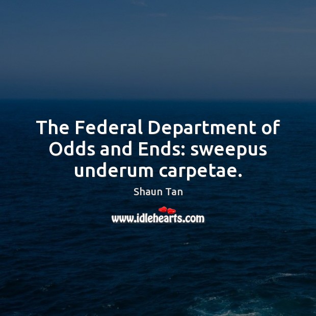 The Federal Department of Odds and Ends: sweepus underum carpetae. Image