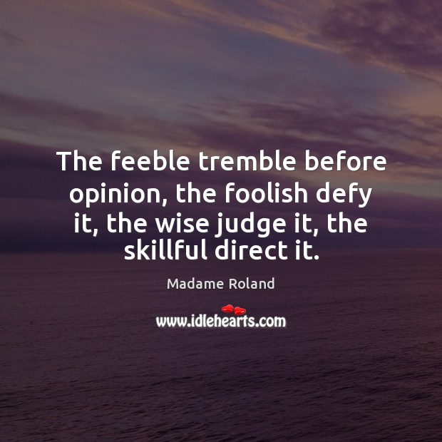 The feeble tremble before opinion, the foolish defy it, the wise judge Image