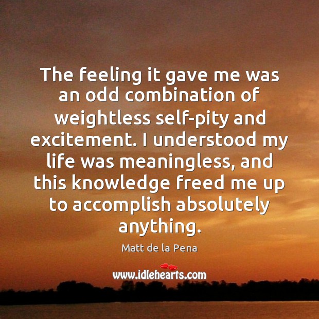 The feeling it gave me was an odd combination of weightless self-pity Matt de la Pena Picture Quote