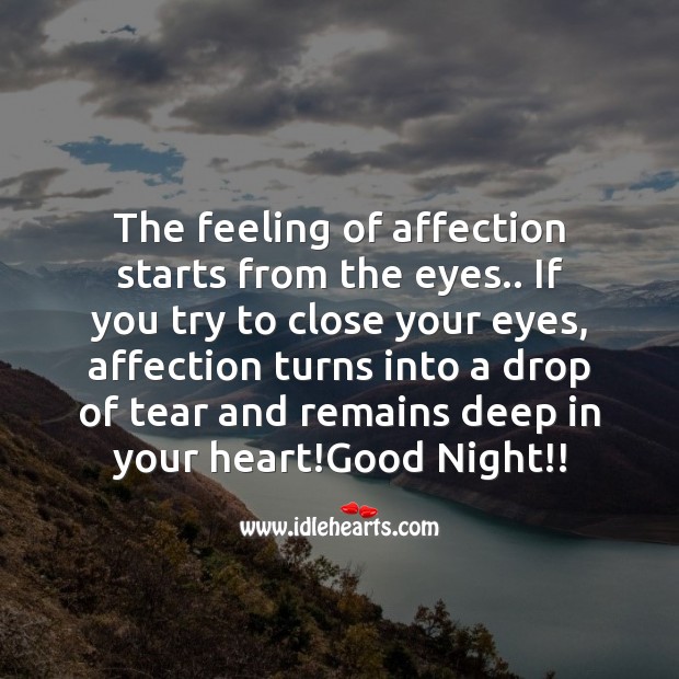 The feeling of affection starts from the eyes.. Good Night Quotes Image