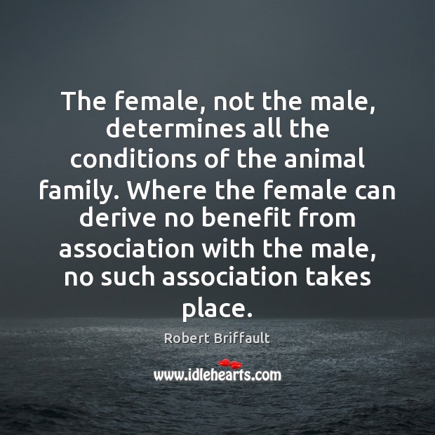 The female, not the male, determines all the conditions of the animal Robert Briffault Picture Quote