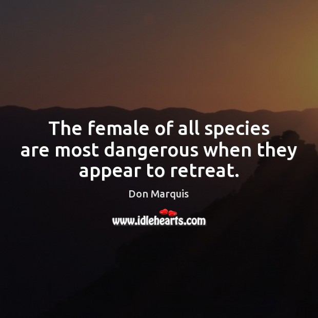The female of all species are most dangerous when they appear to retreat. Image