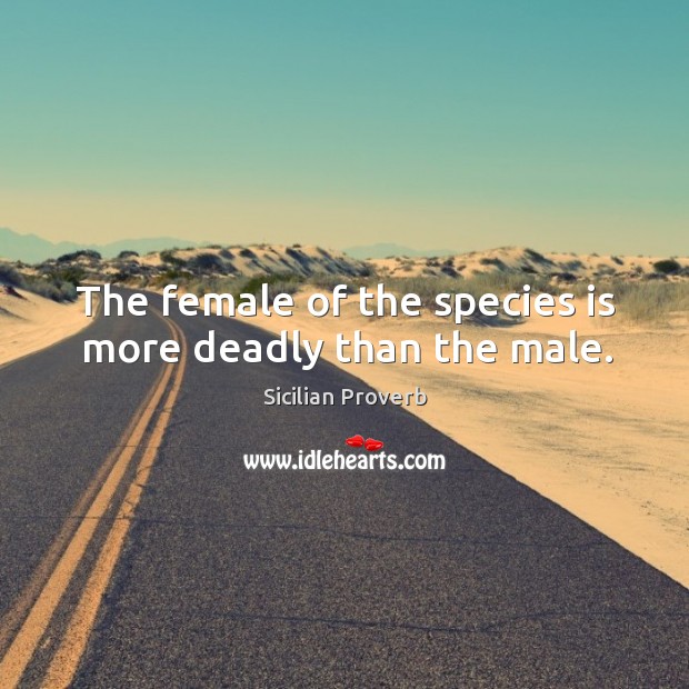 The female of the species is more deadly than the male. Sicilian Proverbs Image