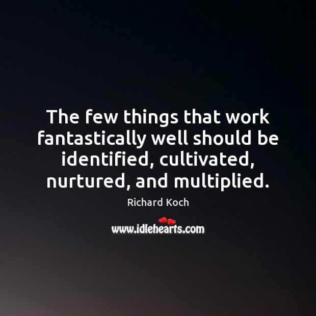 The few things that work fantastically well should be identified, cultivated, nurtured, Richard Koch Picture Quote