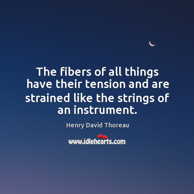 The fibers of all things have their tension and are strained like the strings of an instrument. Henry David Thoreau Picture Quote