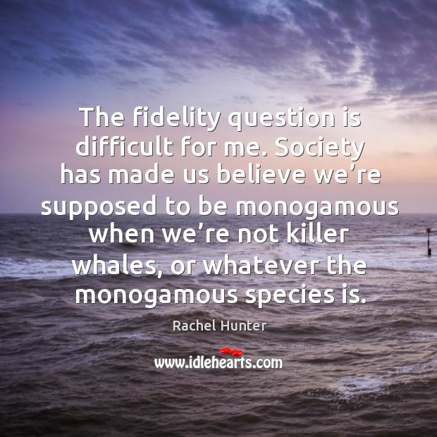 The fidelity question is difficult for me. Image