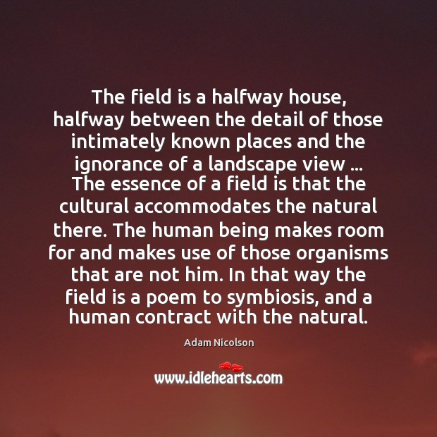 The field is a halfway house, halfway between the detail of those Image