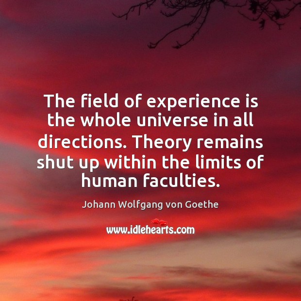 The field of experience is the whole universe in all directions. Theory Johann Wolfgang von Goethe Picture Quote