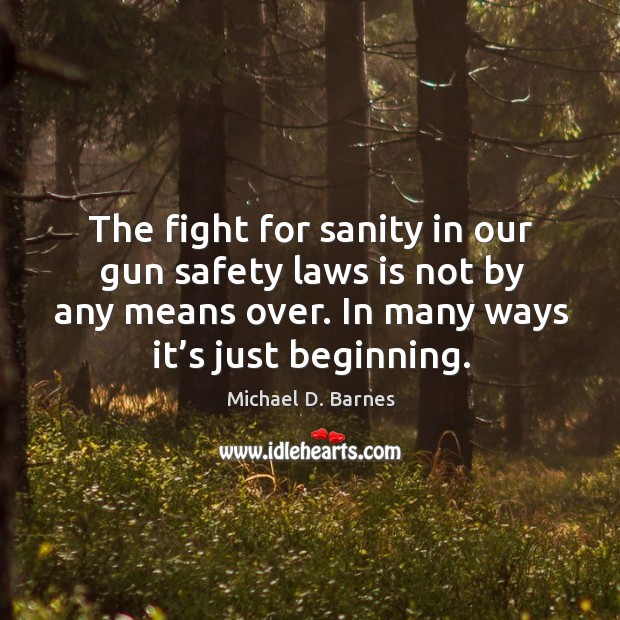 The fight for sanity in our gun safety laws is not by any means over. Michael D. Barnes Picture Quote