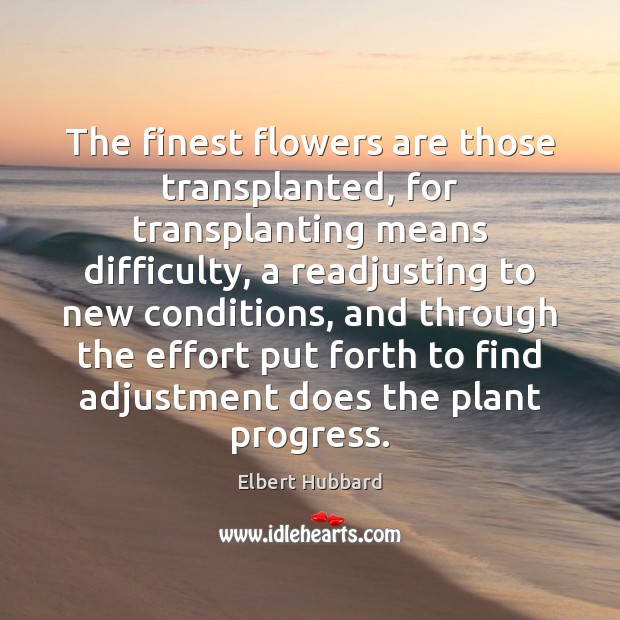 The finest flowers are those transplanted, for transplanting means difficulty, a readjusting Elbert Hubbard Picture Quote