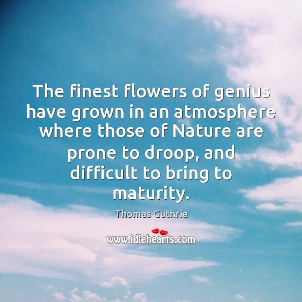 The finest flowers of genius have grown in an atmosphere where those Thomas Guthrie Picture Quote