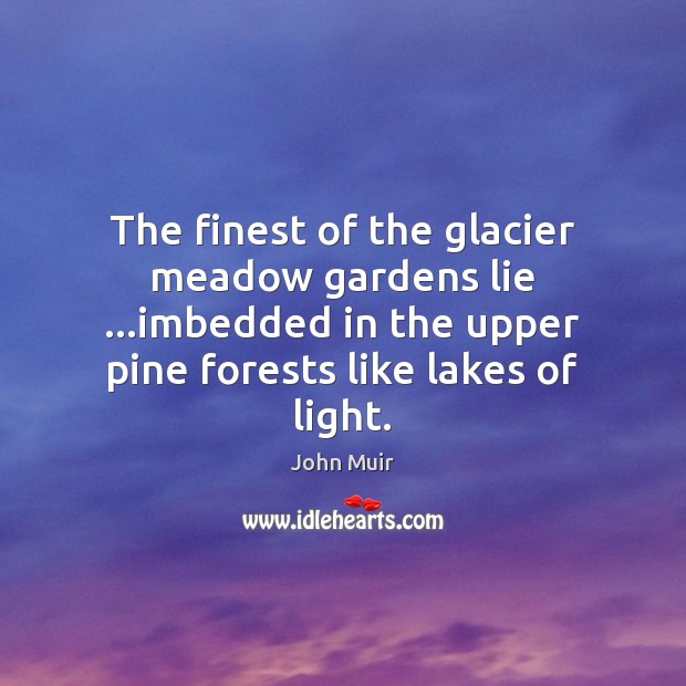 The finest of the glacier meadow gardens lie …imbedded in the upper John Muir Picture Quote