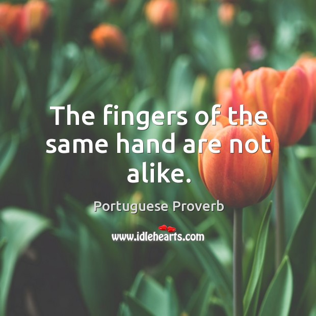 The fingers of the same hand are not alike. Image