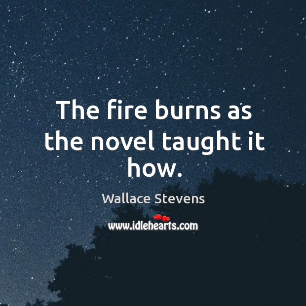 The fire burns as the novel taught it how. Image