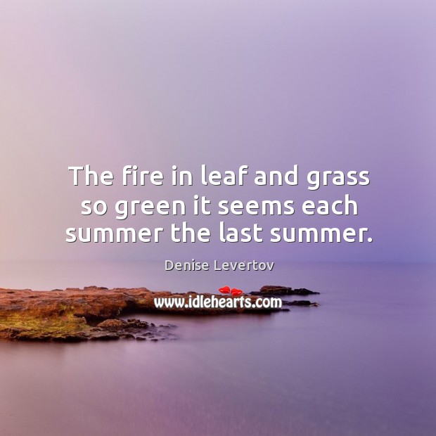 The fire in leaf and grass so green it seems each summer the last summer. Denise Levertov Picture Quote