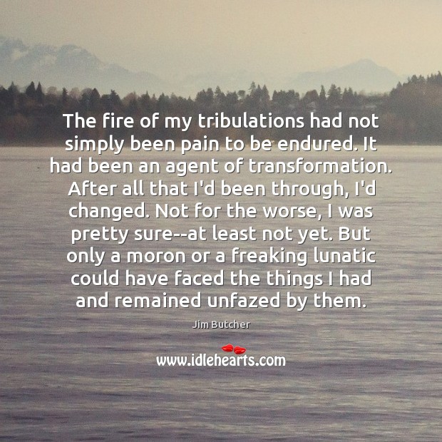 The fire of my tribulations had not simply been pain to be Image