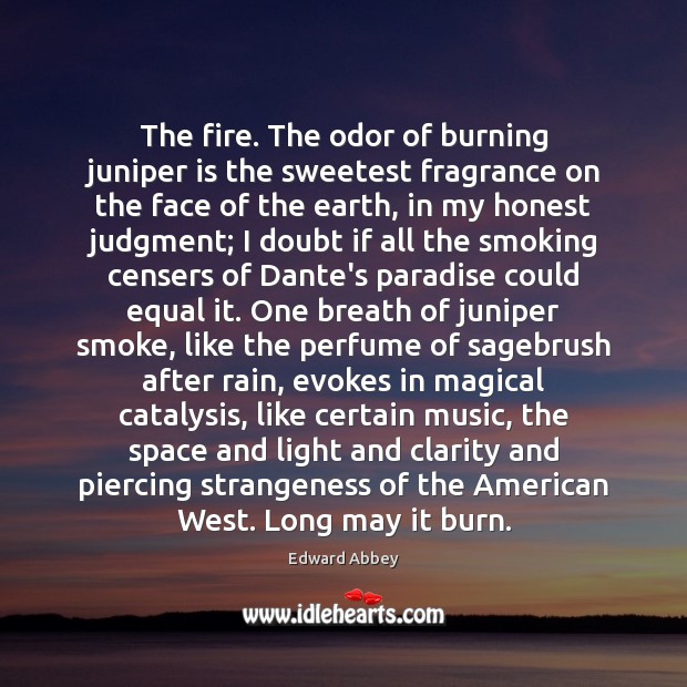 The fire. The odor of burning juniper is the sweetest fragrance on Edward Abbey Picture Quote