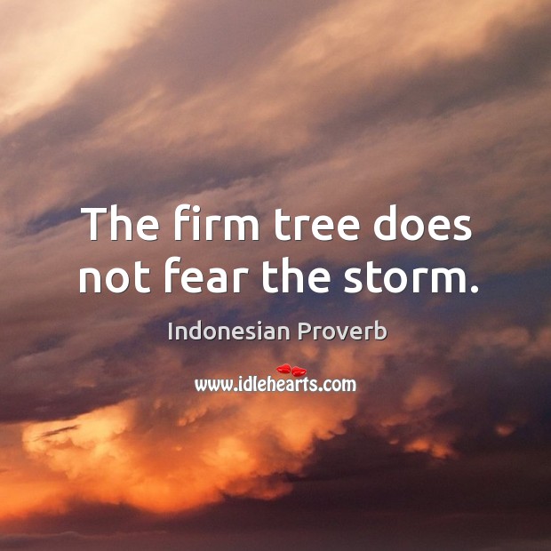 The firm tree does not fear the storm. Indonesian Proverbs Image